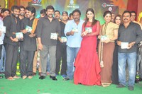 Bruce Lee Movie Audio Release Photos
